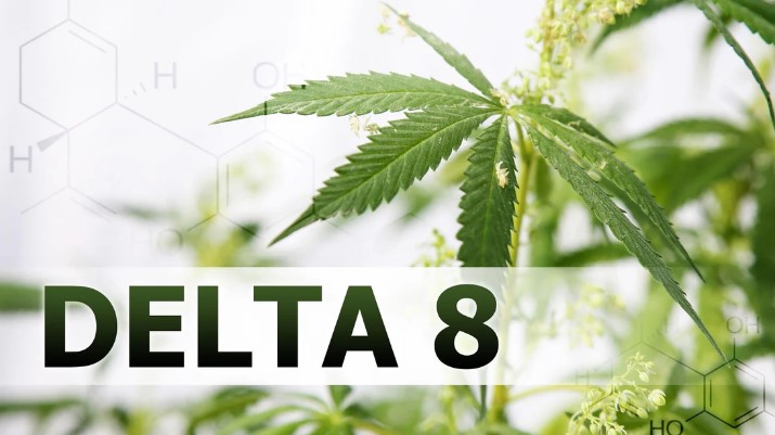 what is delta 8 thc this is a photo of the plant